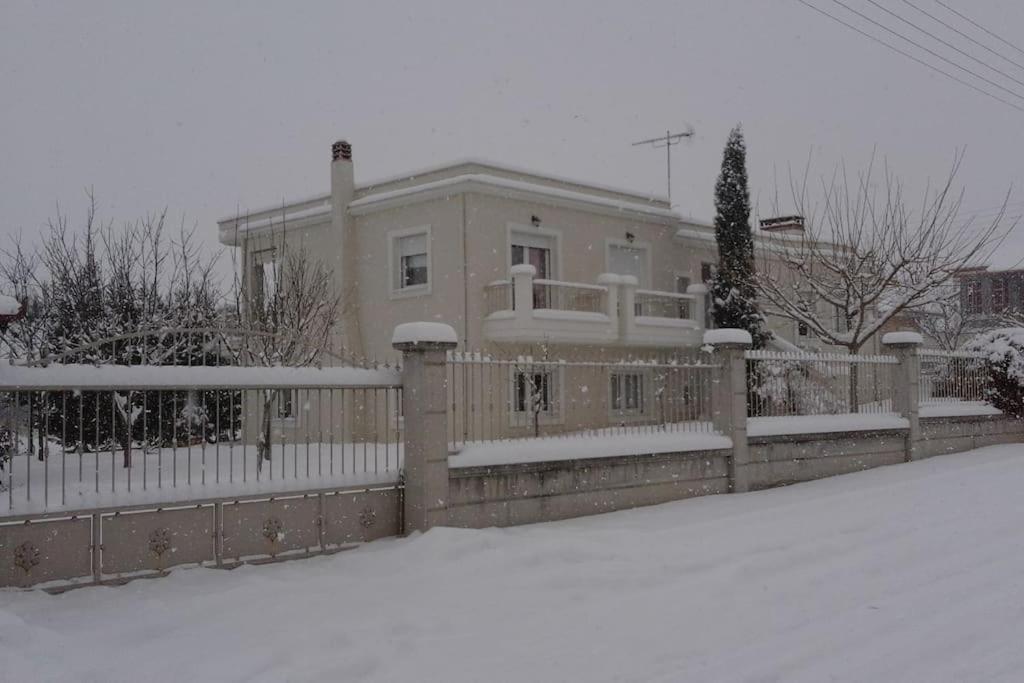 Vintage Garden House Villa *